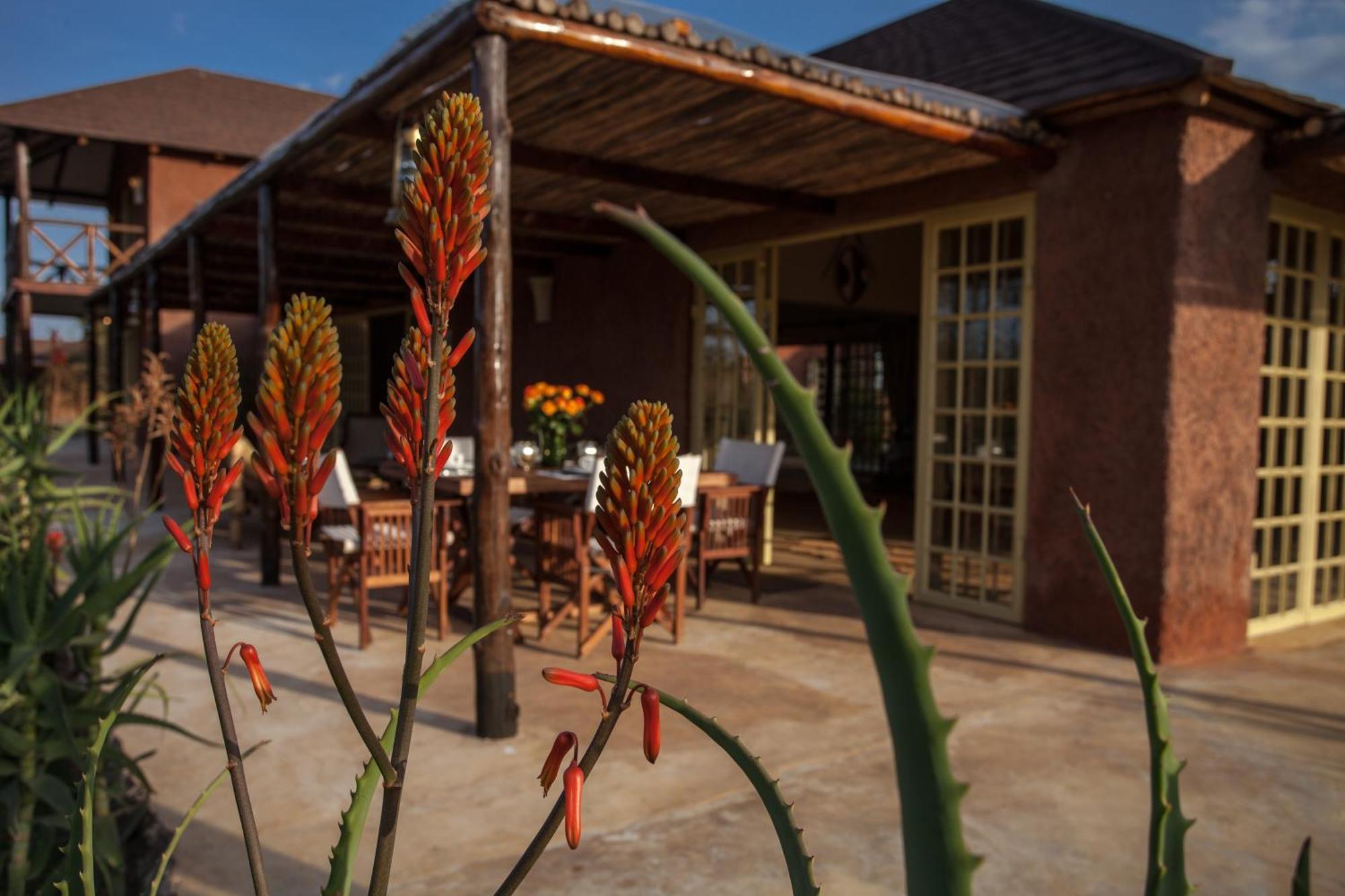 Kili Villa Kilimanjaro Luxury Retreat Arusza Pokój zdjęcie