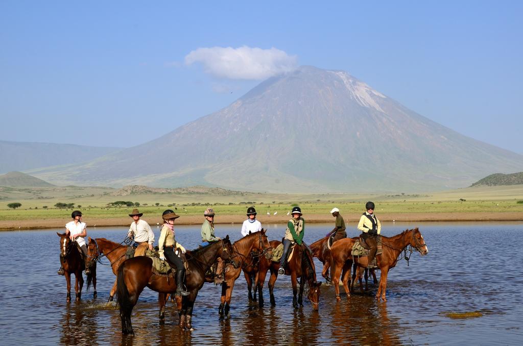 Kili Villa Kilimanjaro Luxury Retreat Arusza Zewnętrze zdjęcie